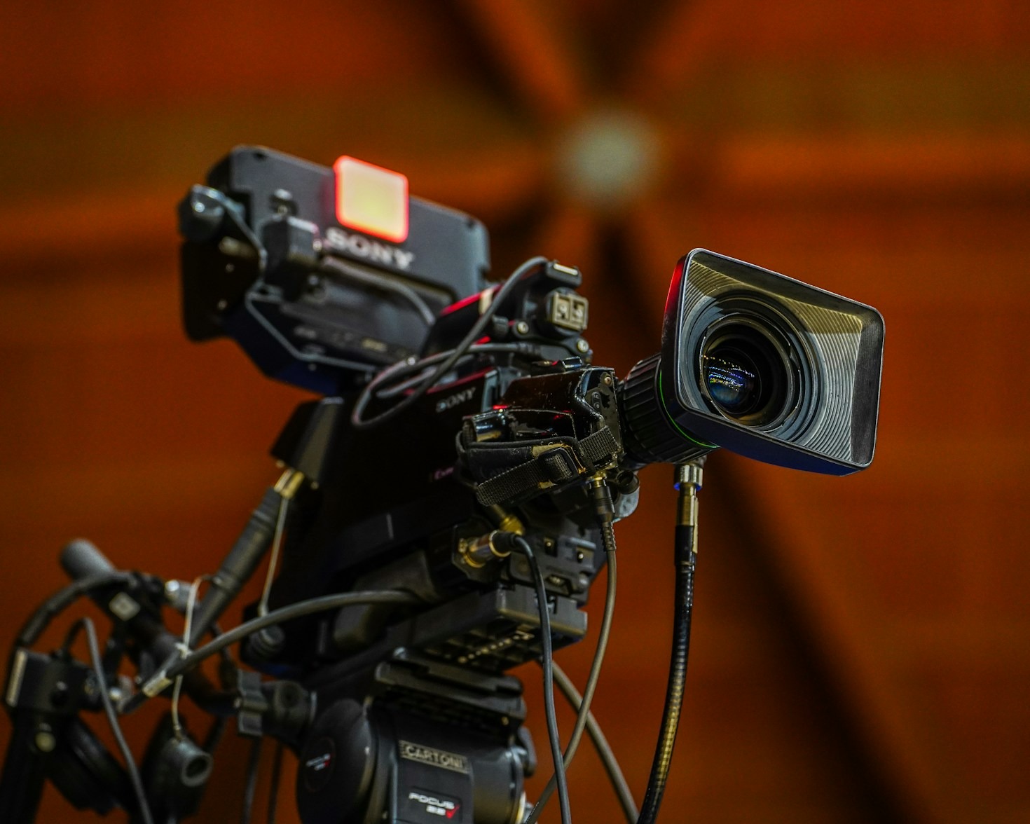 The Role of Warm Colors in Building Trust